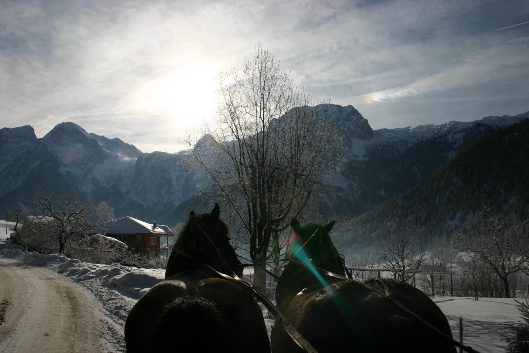 Schoerghof Abtenau Bagian luar foto