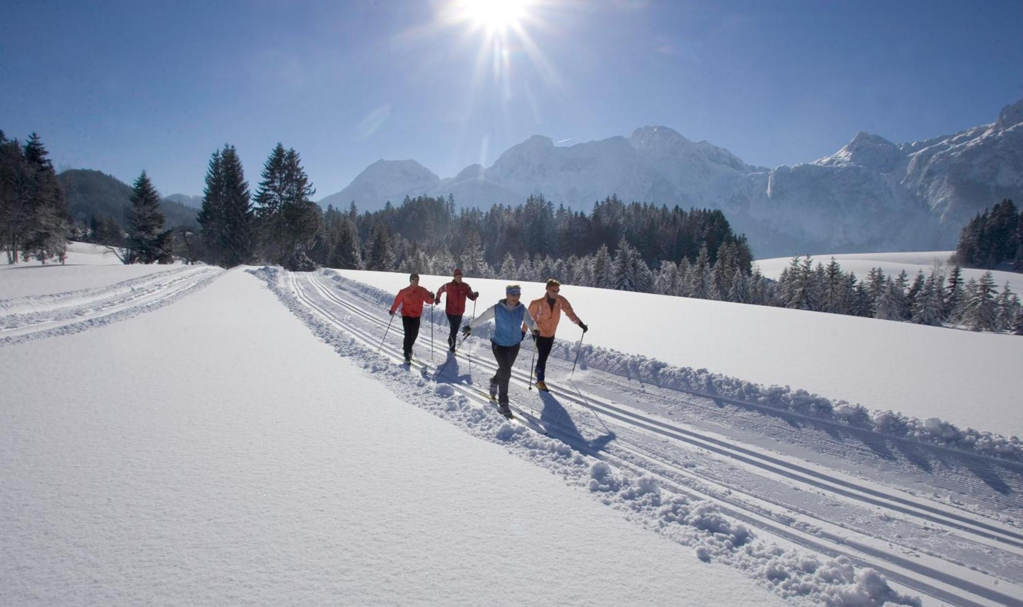 Schoerghof Abtenau Bagian luar foto