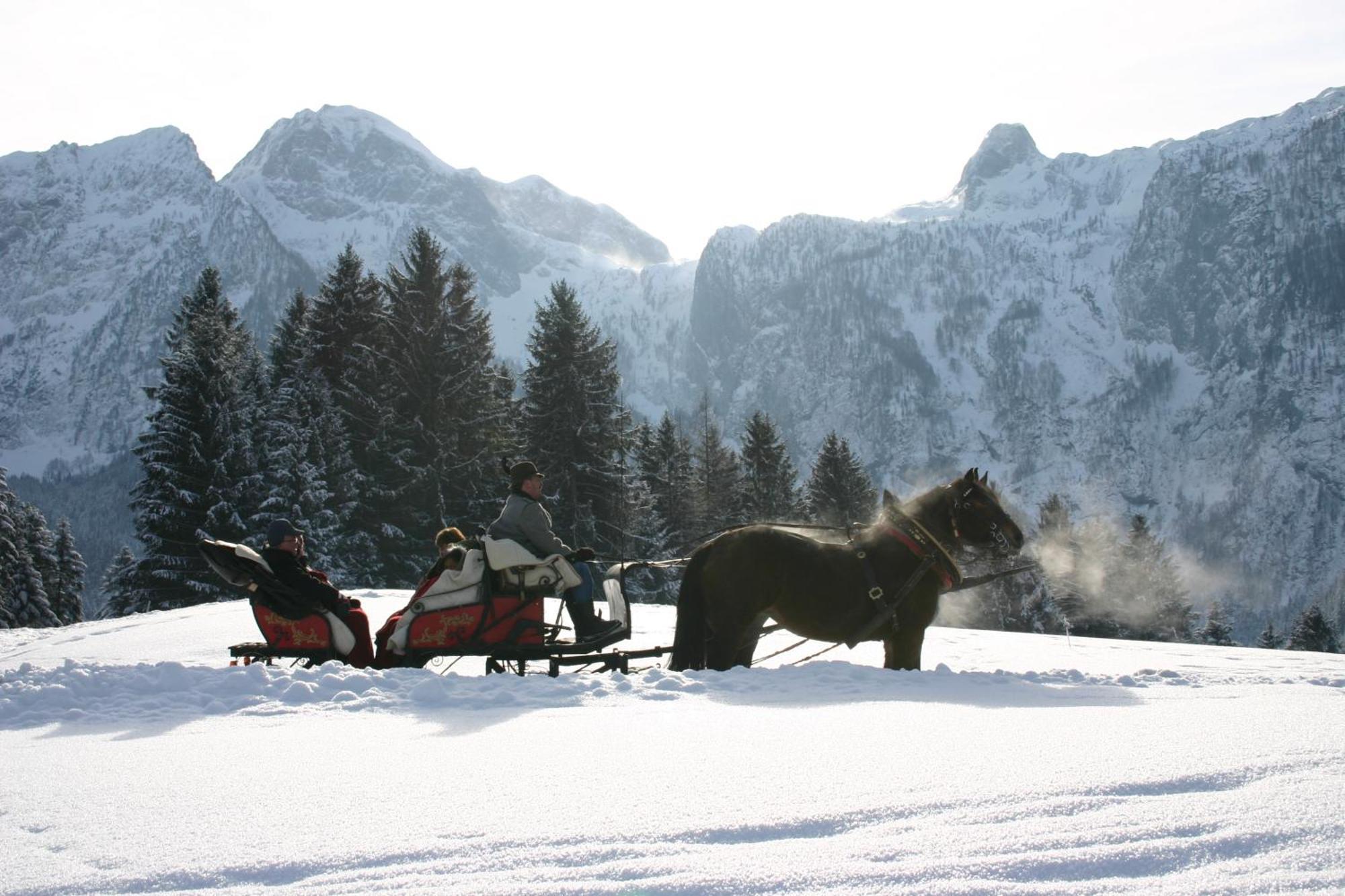 Schoerghof Abtenau Bagian luar foto